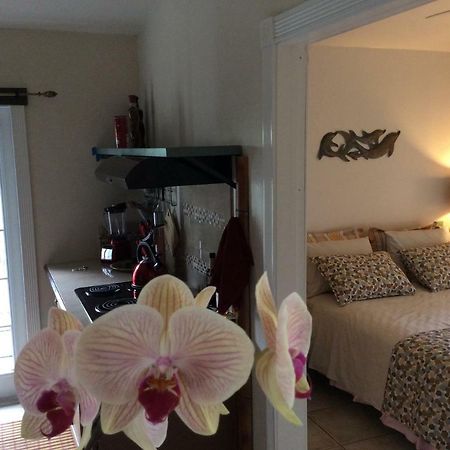Mediteranean Style Ohana Rental / Garden Bungalow In Pahoa Honolulu Landing Luaran gambar