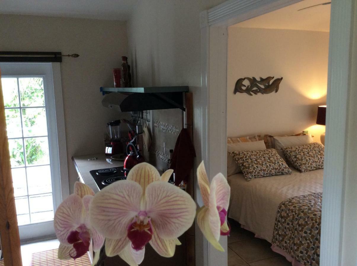 Mediteranean Style Ohana Rental / Garden Bungalow In Pahoa Honolulu Landing Luaran gambar